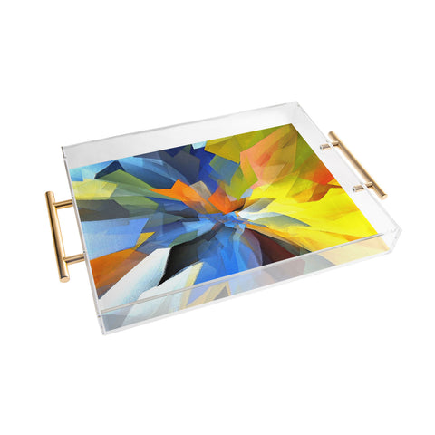 Paul Kimble Beauty In Decay Acrylic Tray