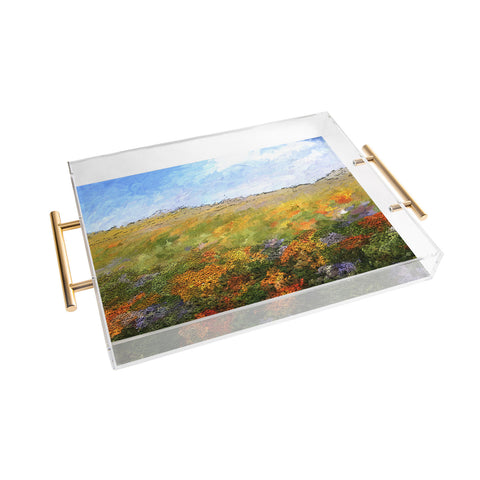 Paul Kimble Daydream Desert Acrylic Tray