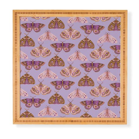 Pimlada Phuapradit Patterned Moths Framed Wall Art