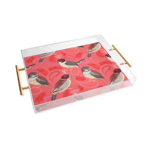 Pimlada Phuapradit Pygmy Falcons Acrylic Tray