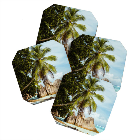 Pita Studios Palm tree bending over the sea Coaster Set