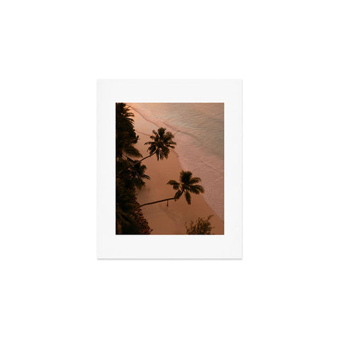 Pita Studios Seychelles Palm Sunset Art Print