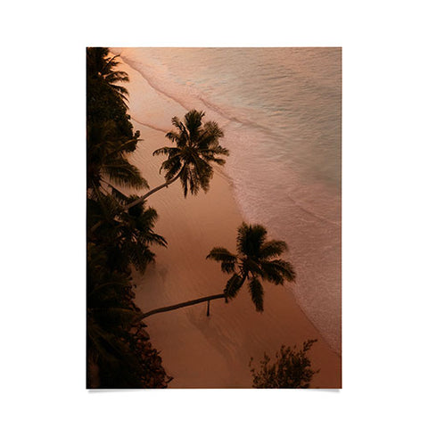 Pita Studios Seychelles Palm Sunset Poster