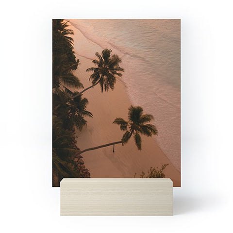 Pita Studios Seychelles Palm Sunset Mini Art Print