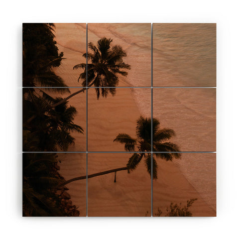 Pita Studios Seychelles Palm Sunset Wood Wall Mural