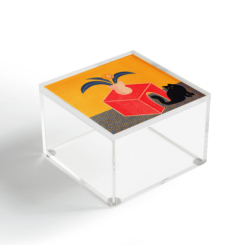 qooeea the cat Acrylic Box