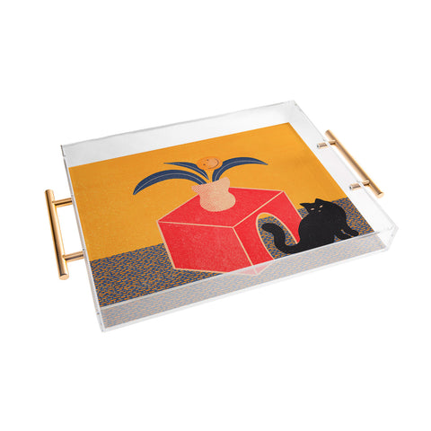 qooeea the cat Acrylic Tray