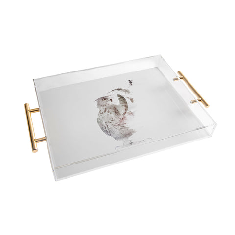 Robert Farkas Fade out Acrylic Tray