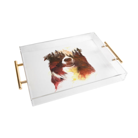 Robert Farkas One night in the forest Acrylic Tray