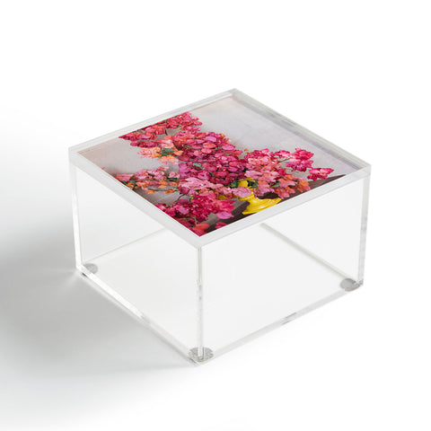 Romana Lilic  / LA76 Photography Blooming Mexico in a Vase Acrylic Box
