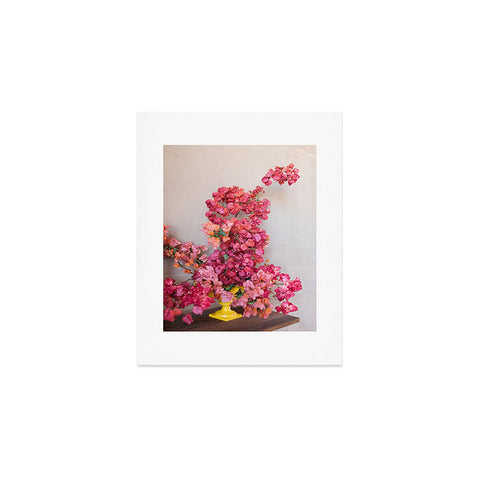 Romana Lilic  / LA76 Photography Blooming Mexico in a Vase Art Print