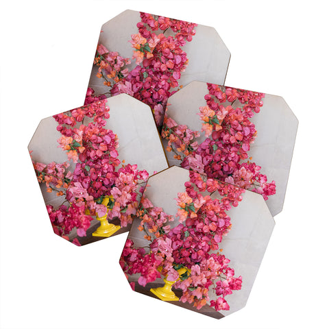 Romana Lilic  / LA76 Photography Blooming Mexico in a Vase Coaster Set