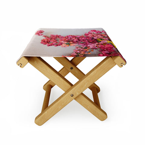 Romana Lilic  / LA76 Photography Blooming Mexico in a Vase Folding Stool