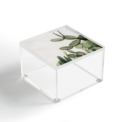 Romana Lilic  / LA76 Photography Cactus on blue sky Acrylic Box