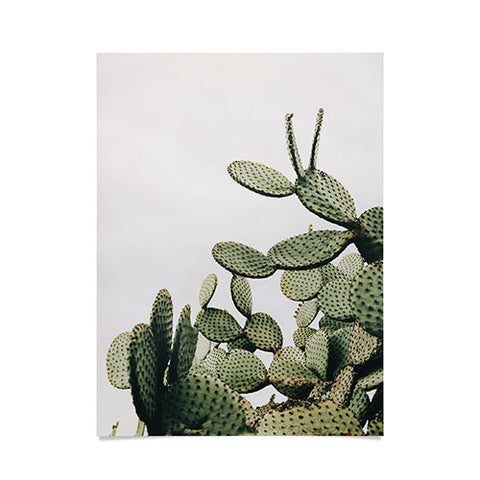 Romana Lilic  / LA76 Photography Cactus on blue sky Poster