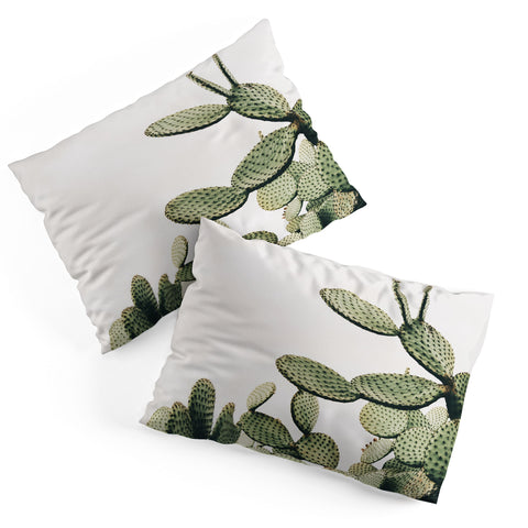 Romana Lilic  / LA76 Photography Cactus on blue sky Pillow Shams