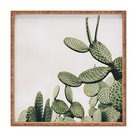Romana Lilic  / LA76 Photography Cactus on blue sky Square Tray