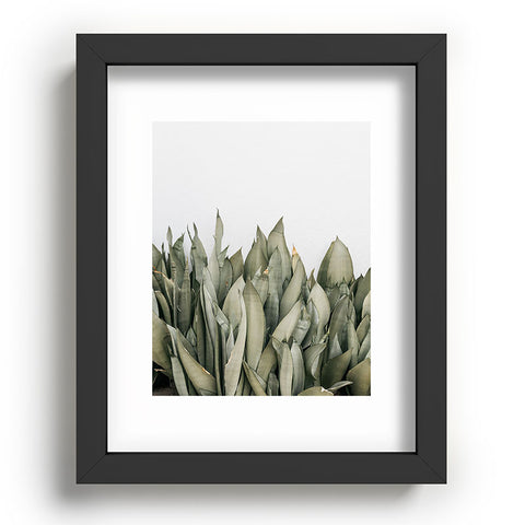 Romana Lilic  / LA76 Photography Moonshine Snake Plant Recessed Framing Rectangle