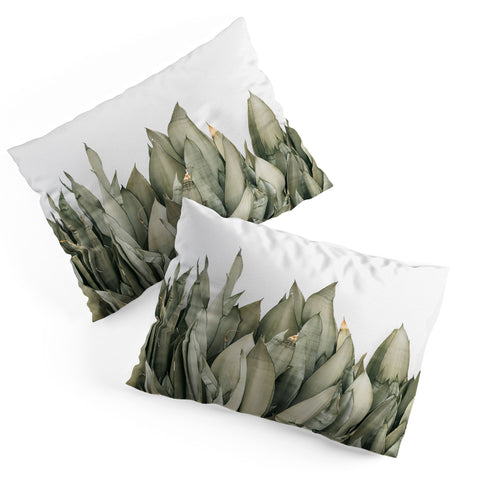 Romana Lilic  / LA76 Photography Moonshine Snake Plant Pillow Shams