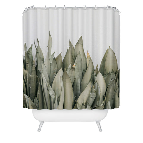 Romana Lilic  / LA76 Photography Moonshine Snake Plant Shower Curtain