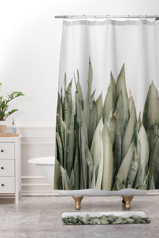 Romana Lilic  / LA76 Photography Moonshine Snake Plant Shower Curtain And Mat