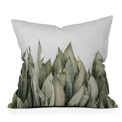 Romana Lilic  / LA76 Photography Moonshine Snake Plant Outdoor Throw Pillow