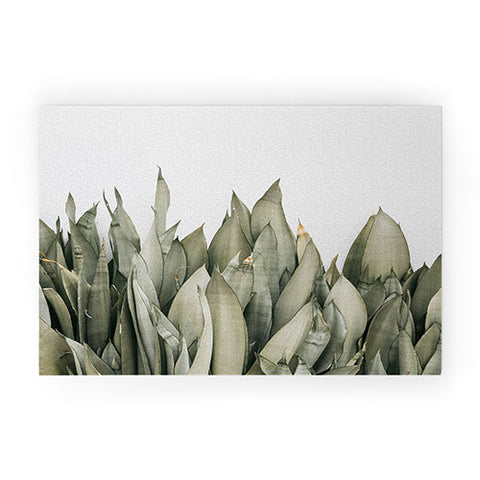 Romana Lilic  / LA76 Photography Moonshine Snake Plant Welcome Mat