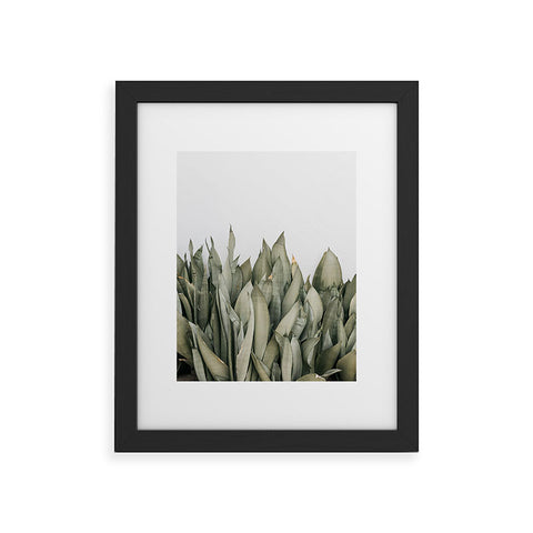 Romana Lilic  / LA76 Photography Moonshine Snake Plant Framed Art Print