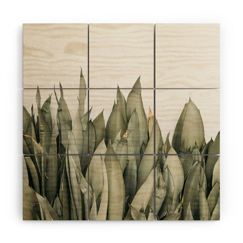 Romana Lilic  / LA76 Photography Moonshine Snake Plant Wood Wall Mural