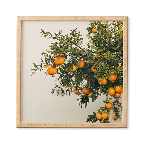 Romana Lilic  / LA76 Photography Pomegranates Framed Wall Art