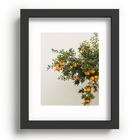 Romana Lilic  / LA76 Photography Pomegranates Recessed Framing Rectangle
