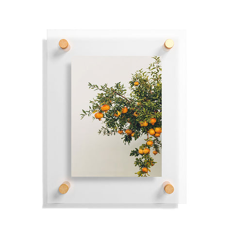 Romana Lilic  / LA76 Photography Pomegranates Floating Acrylic Print