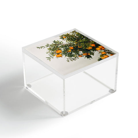 Romana Lilic  / LA76 Photography Pomegranates Acrylic Box