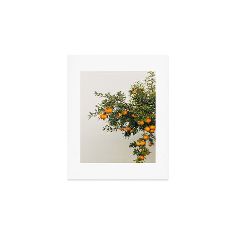 Romana Lilic  / LA76 Photography Pomegranates Art Print