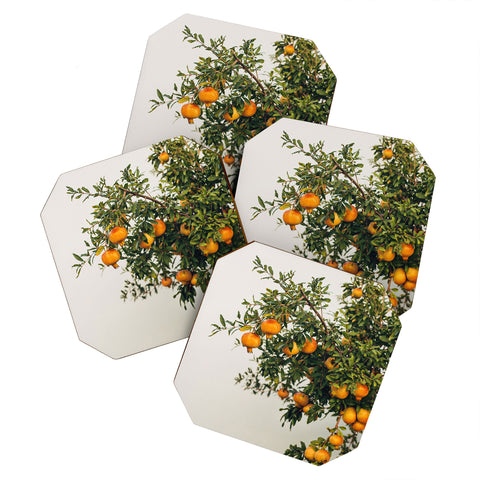 Romana Lilic  / LA76 Photography Pomegranates Coaster Set