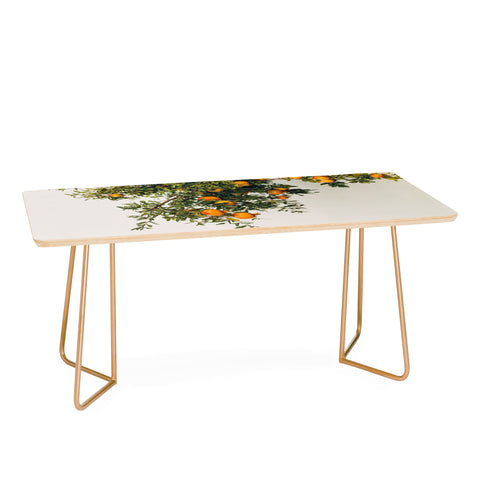 Romana Lilic  / LA76 Photography Pomegranates Coffee Table