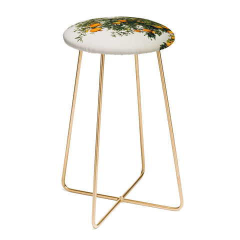 Romana Lilic  / LA76 Photography Pomegranates Counter Stool