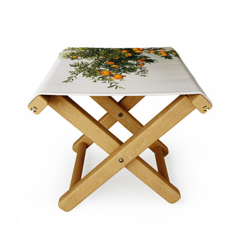 Romana Lilic  / LA76 Photography Pomegranates Folding Stool