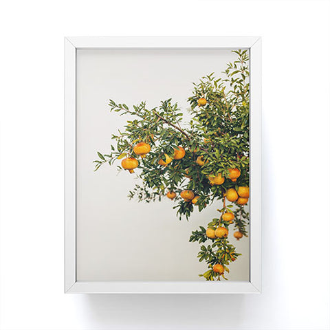 Romana Lilic  / LA76 Photography Pomegranates Framed Mini Art Print