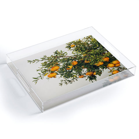 Romana Lilic  / LA76 Photography Pomegranates Acrylic Tray