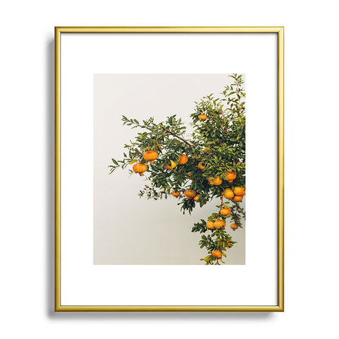 Romana Lilic  / LA76 Photography Pomegranates Metal Framed Art Print