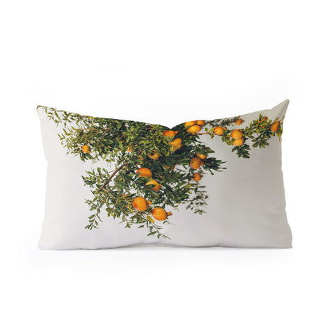 Romana Lilic  / LA76 Photography Pomegranates Oblong Throw Pillow