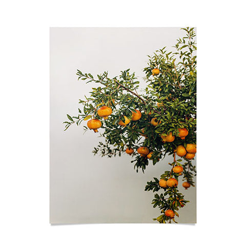 Romana Lilic  / LA76 Photography Pomegranates Poster