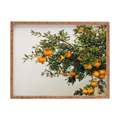 Romana Lilic  / LA76 Photography Pomegranates Rectangular Tray