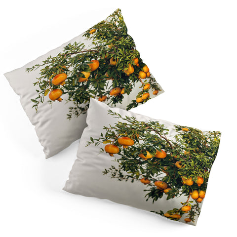 Romana Lilic  / LA76 Photography Pomegranates Pillow Shams
