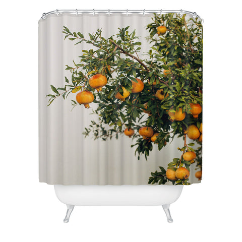 Romana Lilic  / LA76 Photography Pomegranates Shower Curtain