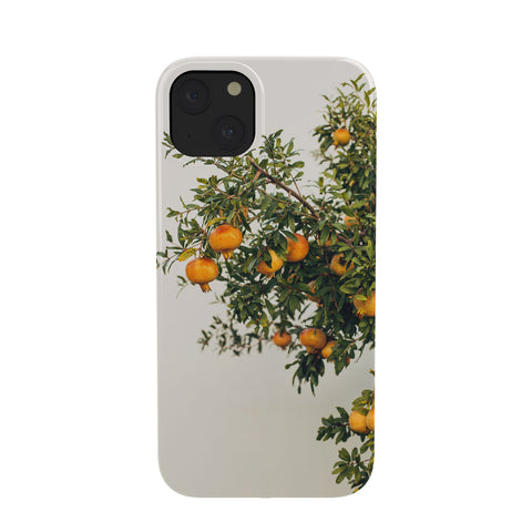 Romana Lilic  / LA76 Photography Pomegranates Phone Case