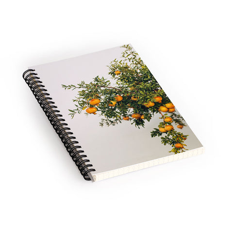 Romana Lilic  / LA76 Photography Pomegranates Spiral Notebook