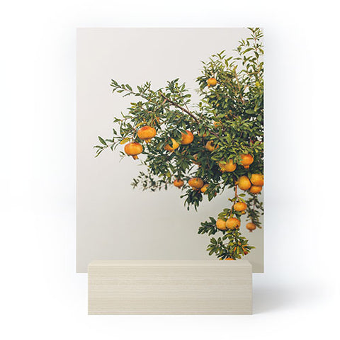 Romana Lilic  / LA76 Photography Pomegranates Mini Art Print