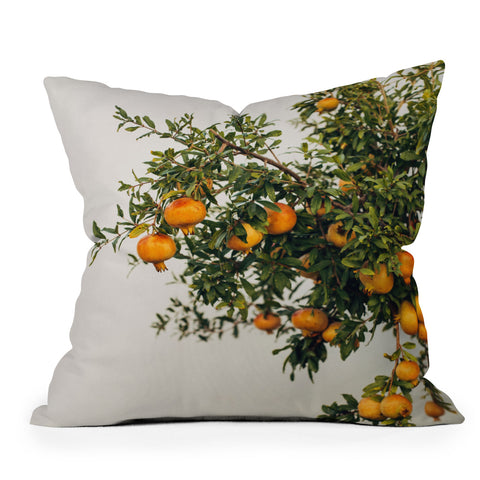 Romana Lilic  / LA76 Photography Pomegranates Throw Pillow